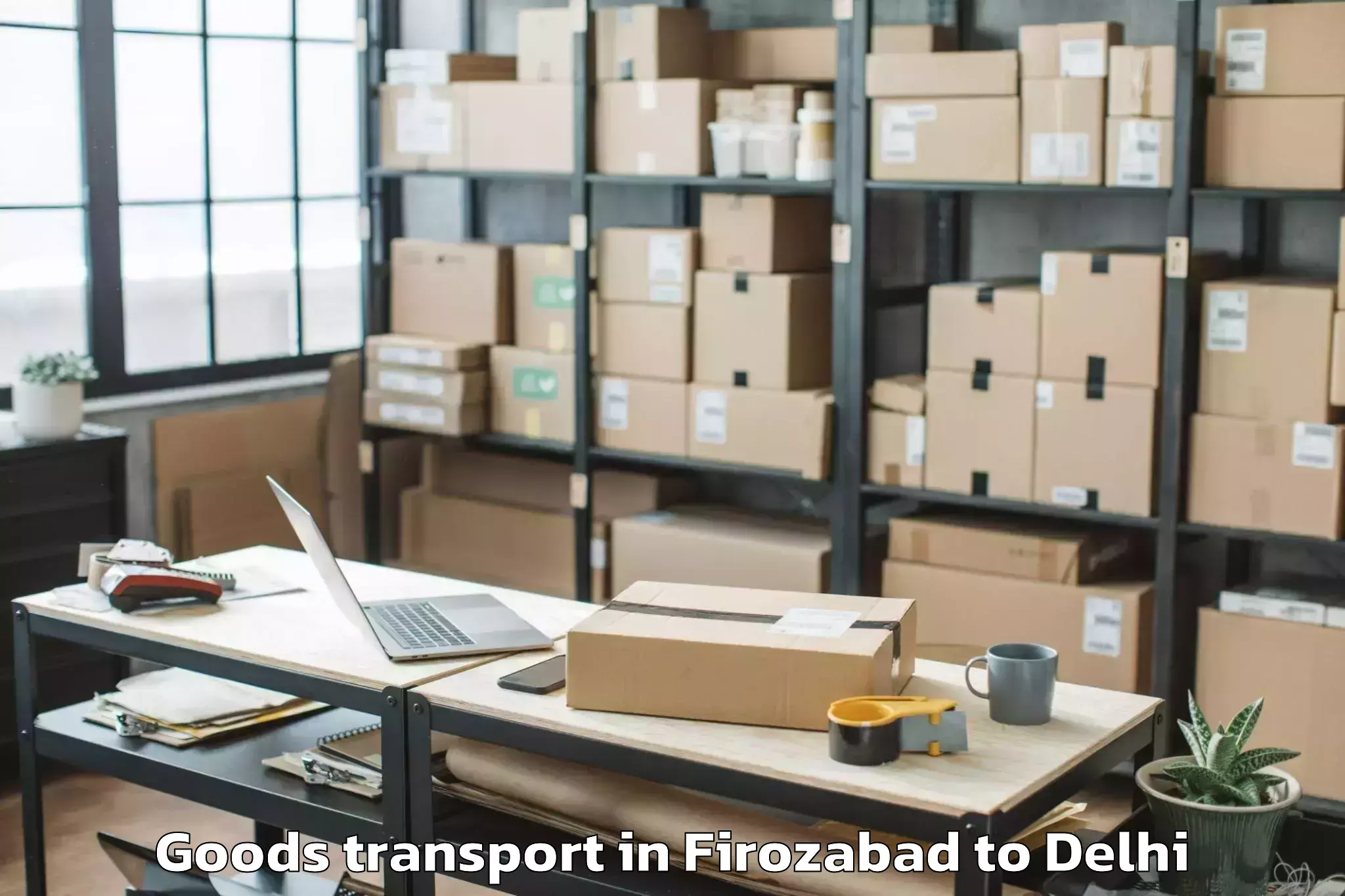 Firozabad to Chanakya Puri Goods Transport Booking